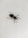 A black and yellow insect with long legs and antennae rests on a plain off-white surface. The insect features distinct yellow spots on its back.