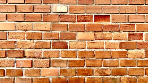 Photo 1691075398185 500d0cc69771?q=85&w=500&h=500&fit=crop