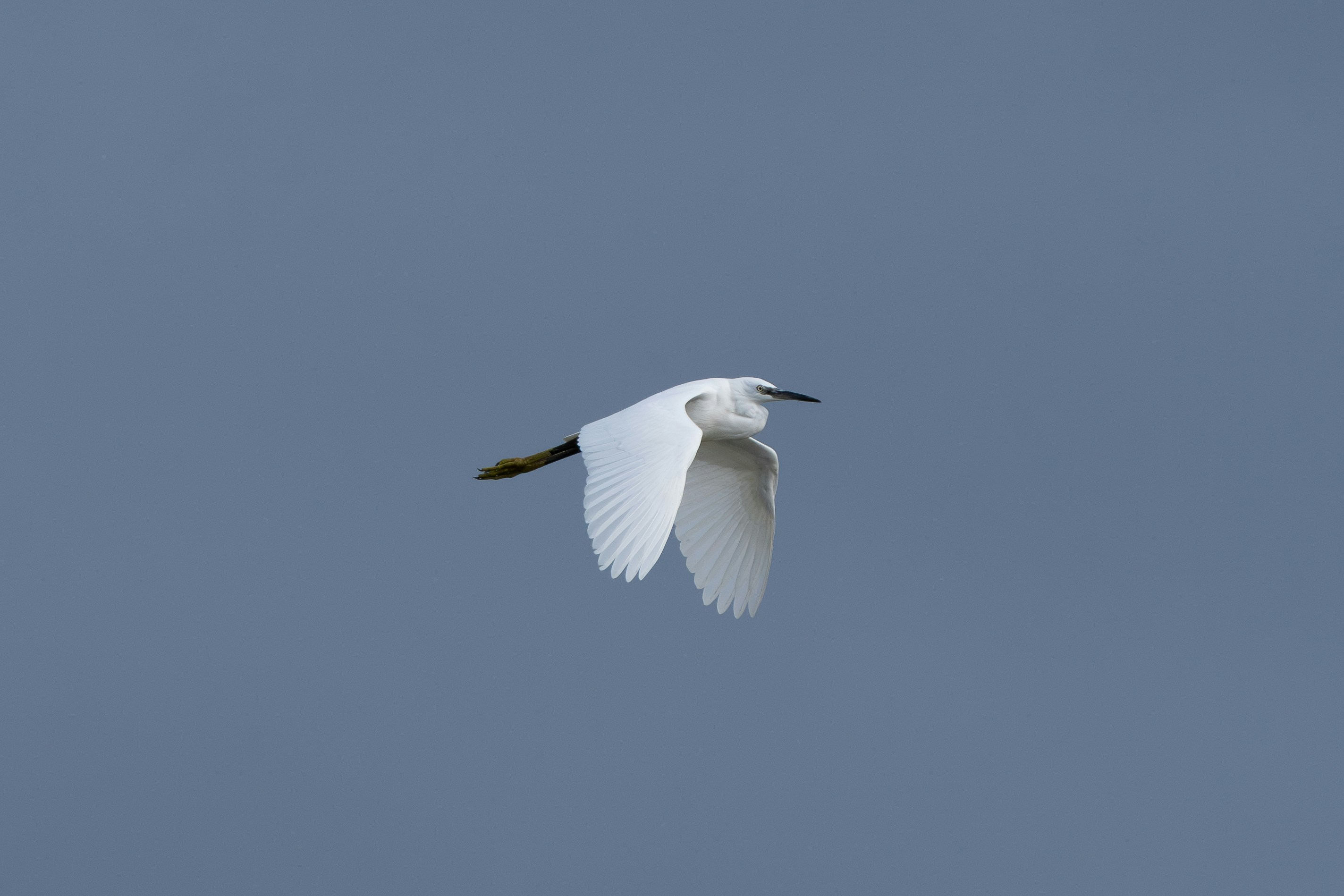 Photo by ronan_hello