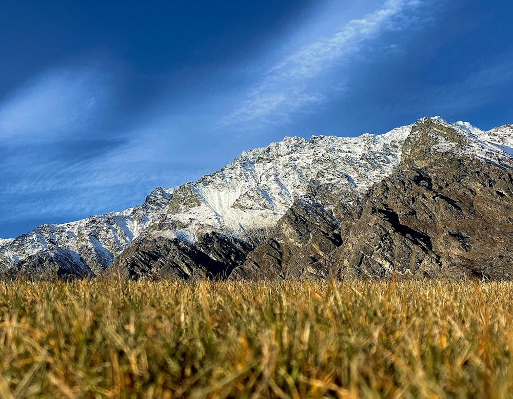 a grassy field with a mountain in the background