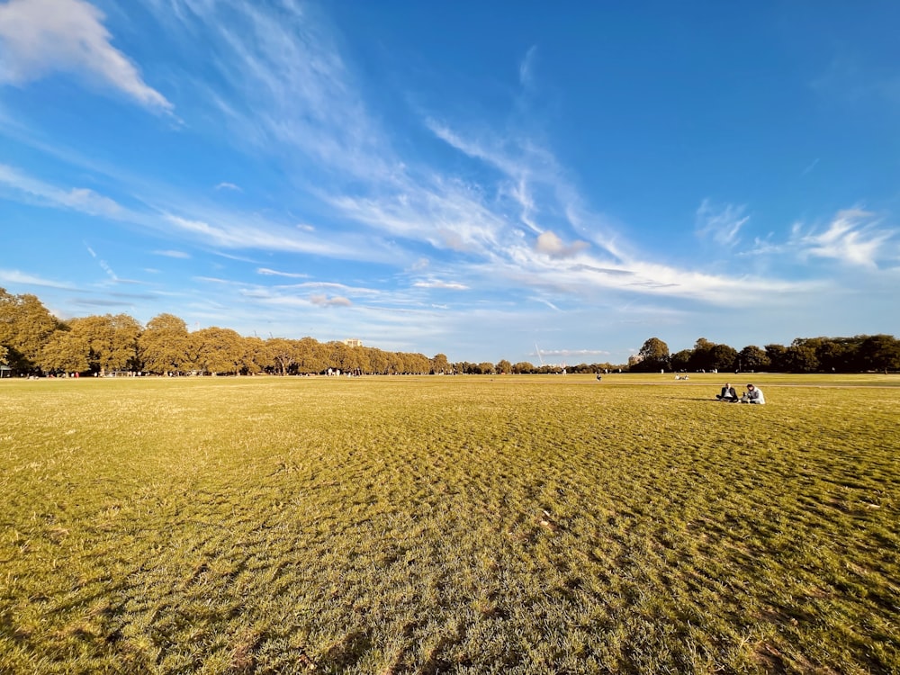 two people sitting on a bench in a large field