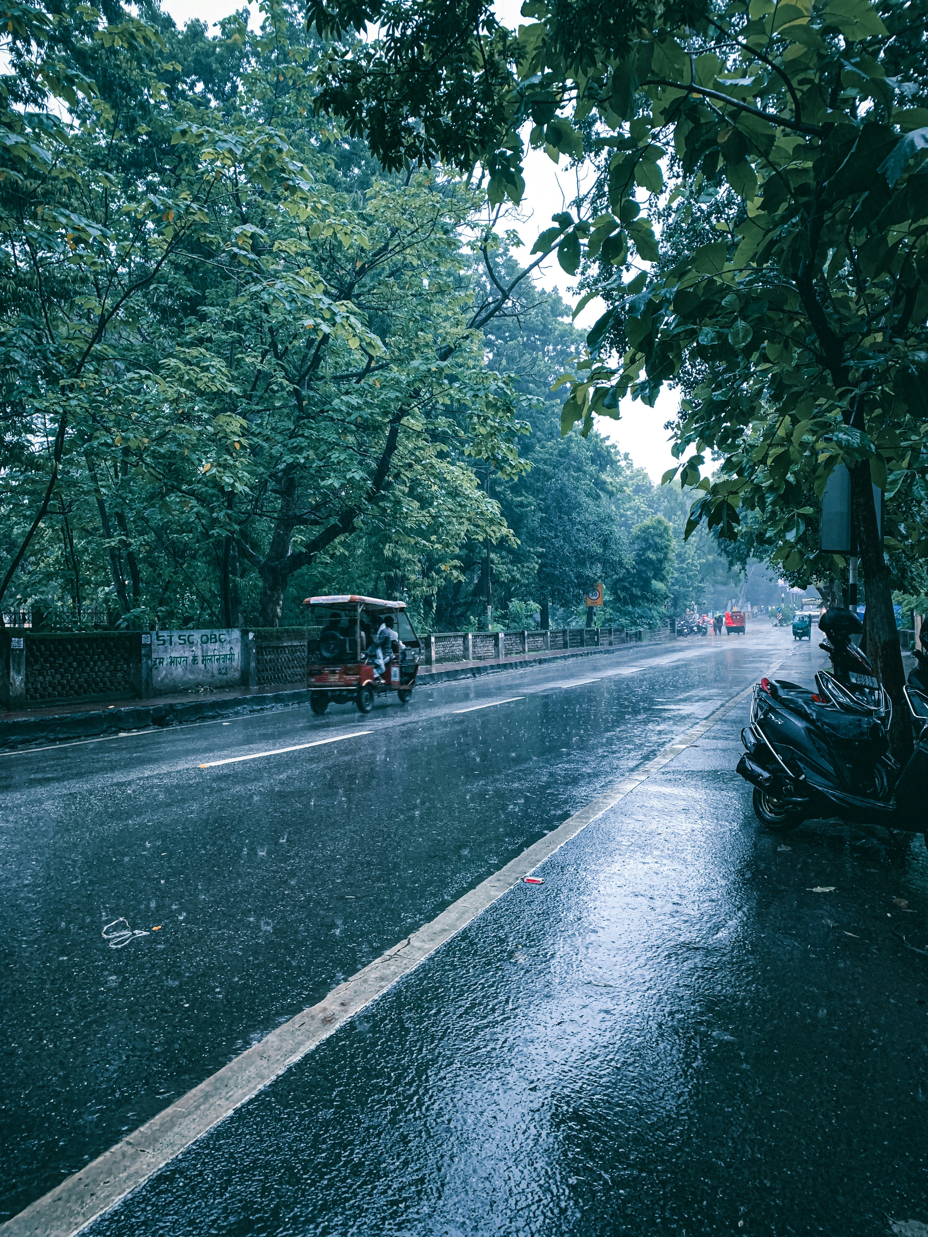 Rainy Season Road Trip Guide for Safer and More Flexible Travel