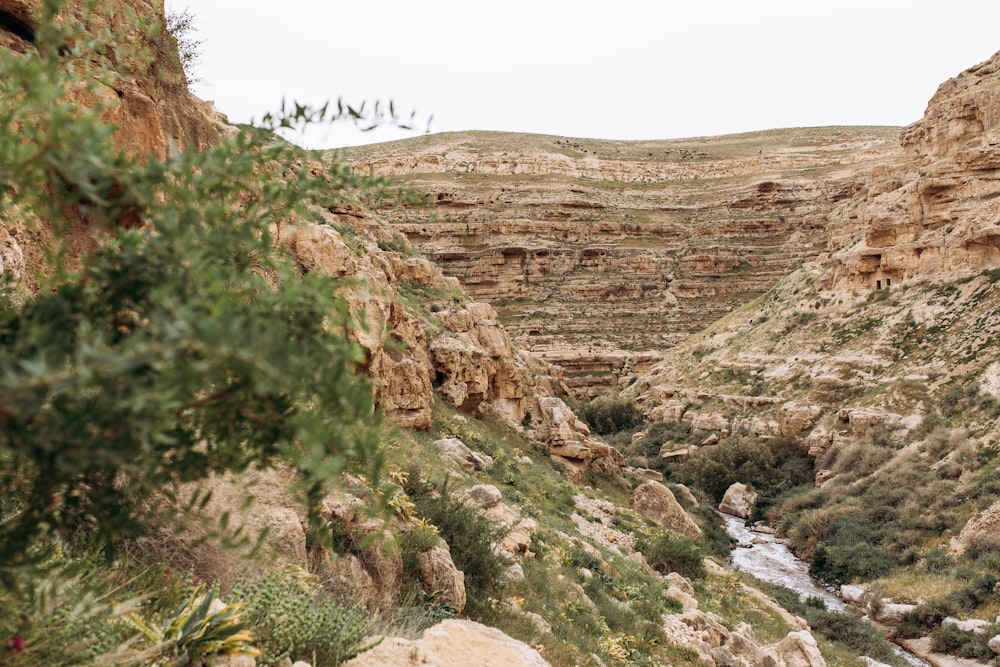 a view of a canyon with a river running through it