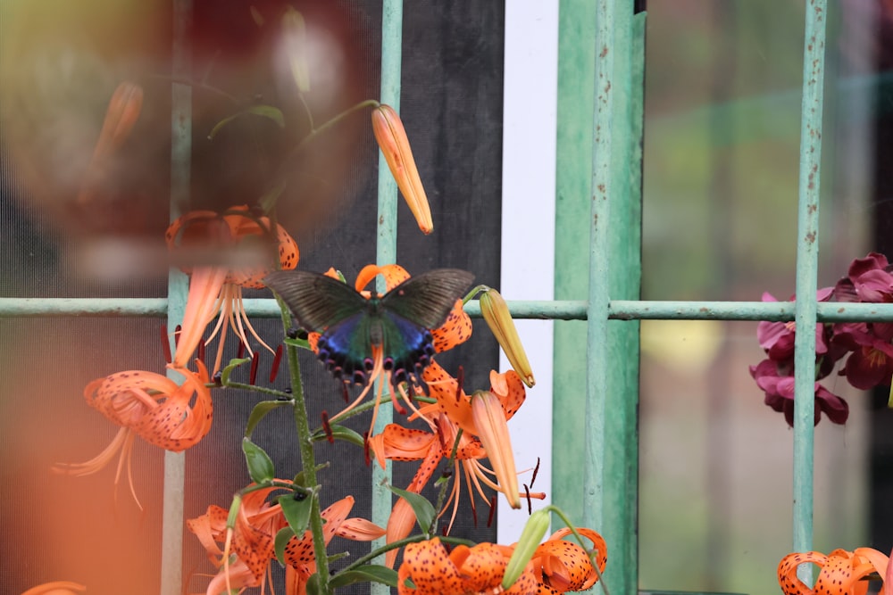 a bird is perched on a flower in front of a window