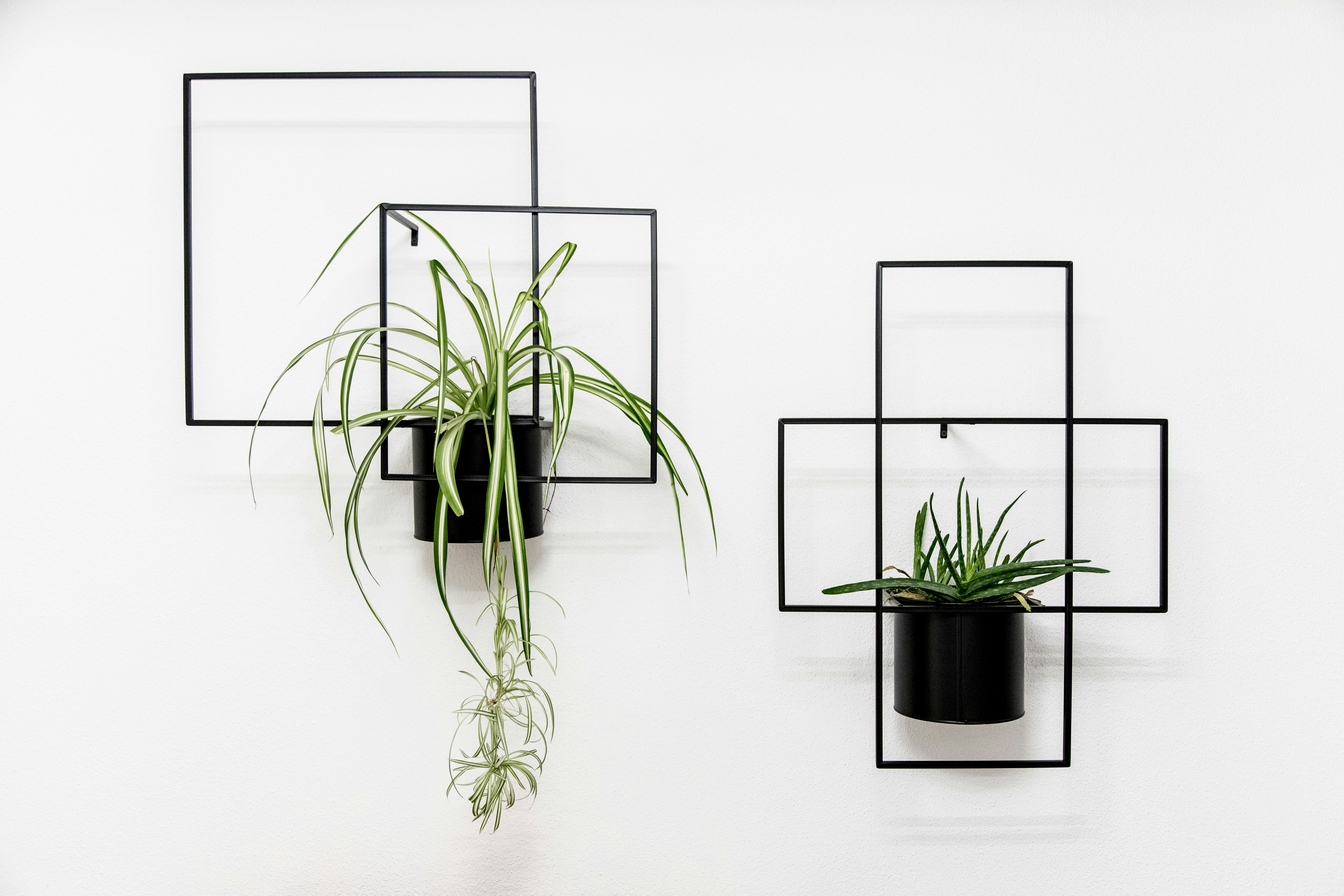 Photo by alexandristom