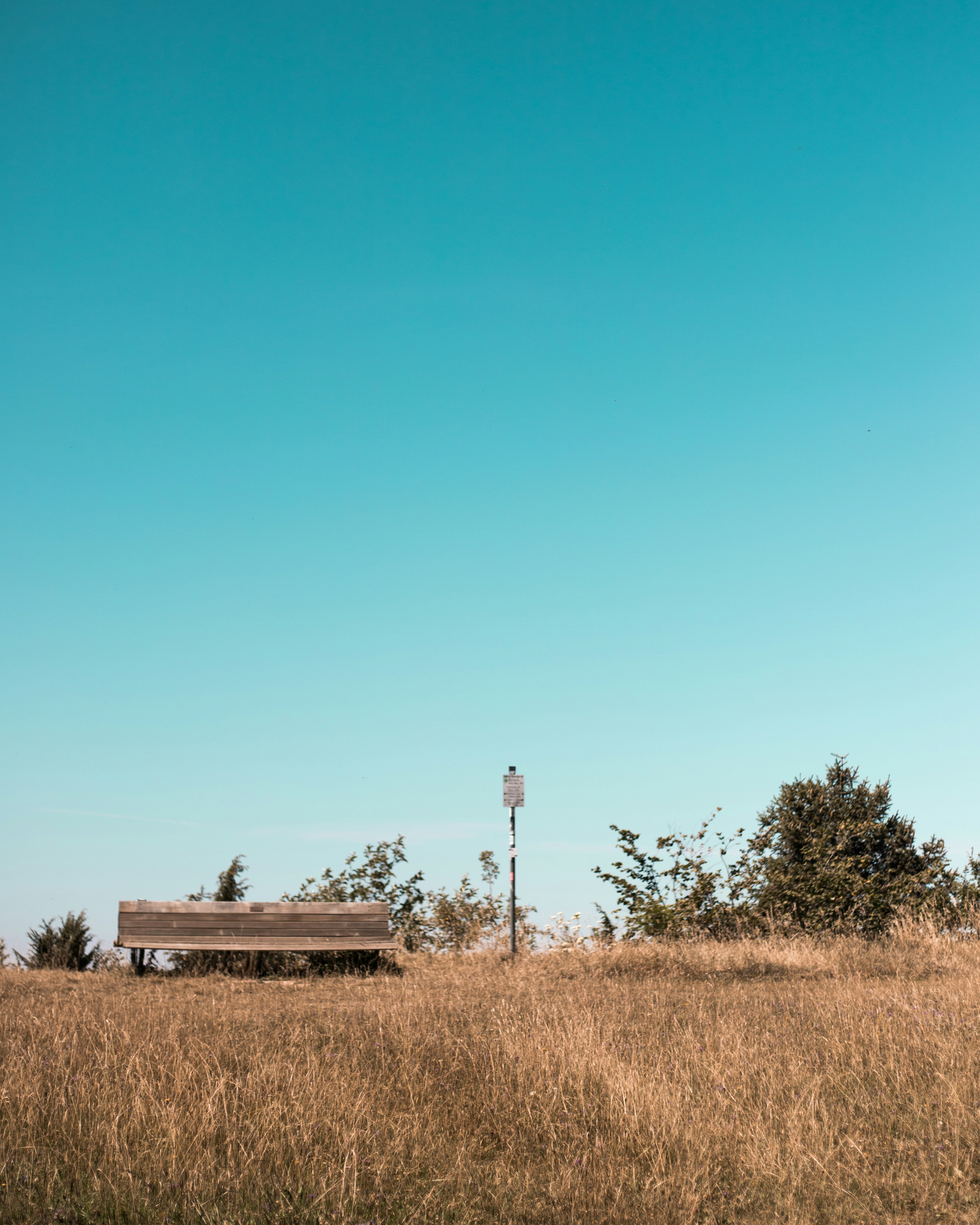 Photo by alexandristom