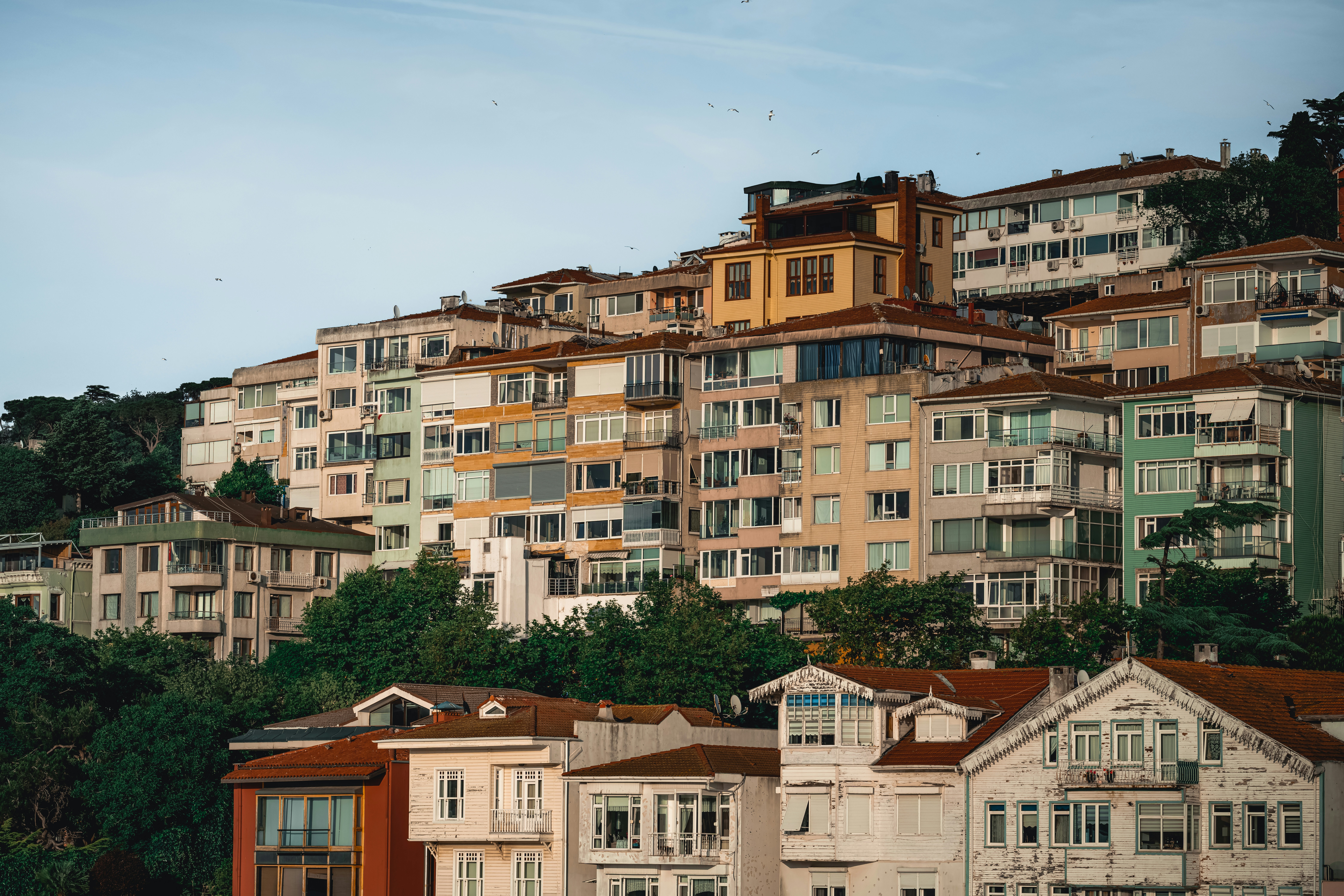 Photo by limamauro23