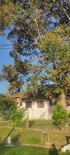 A residential area with a small house partially hidden behind tall, leafy trees and a wire fence. The house has a white exterior and brown roof. The sky is clear and blue, suggesting sunny weather. The scene is quiet and serene, with lush greenery in the foreground and around the house.