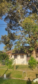 A residential area with a small house partially hidden behind tall, leafy trees and a wire fence. The house has a white exterior and brown roof. The sky is clear and blue, suggesting sunny weather. The scene is quiet and serene, with lush greenery in the foreground and around the house.