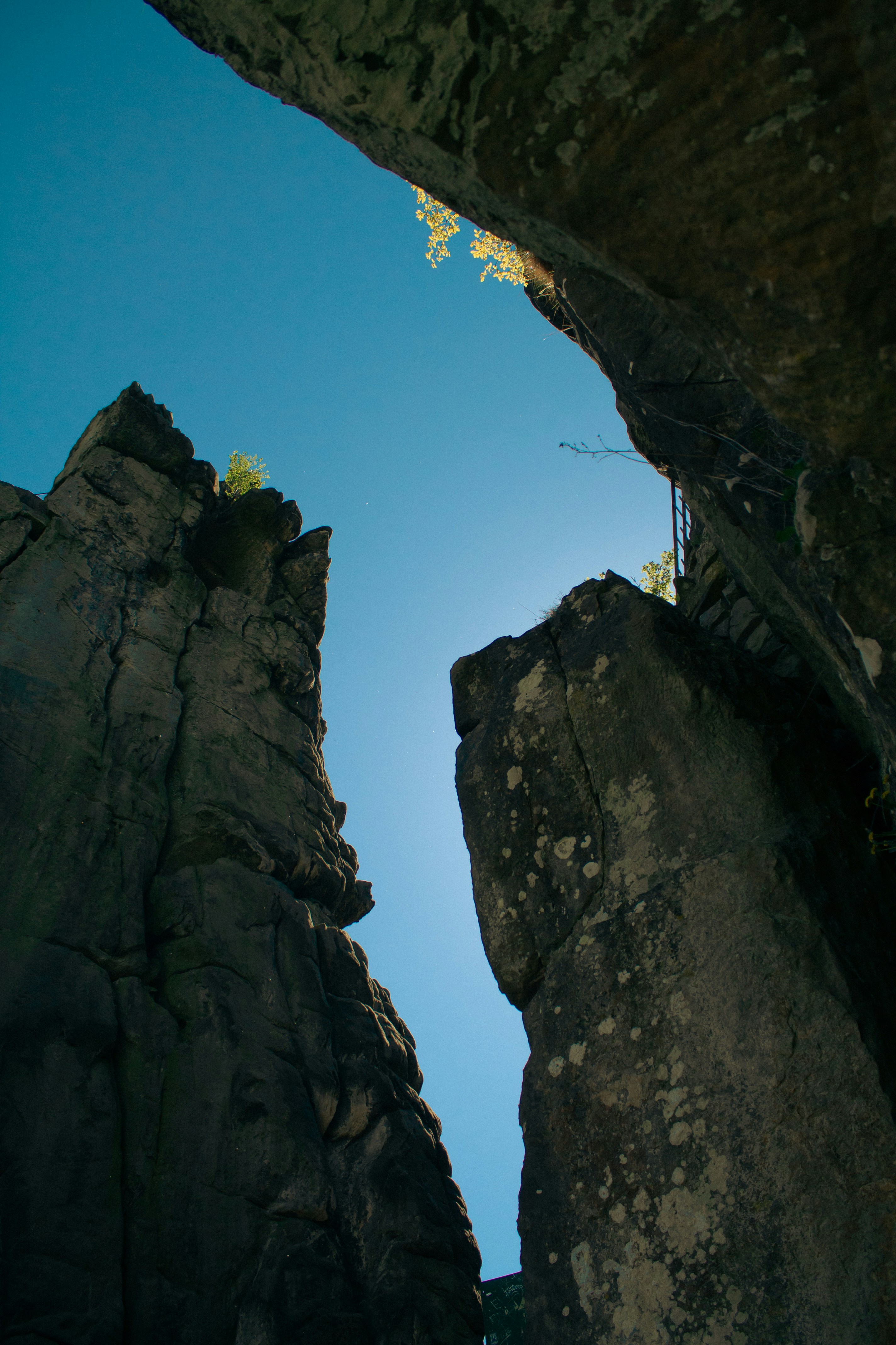 Photo by alexandristom