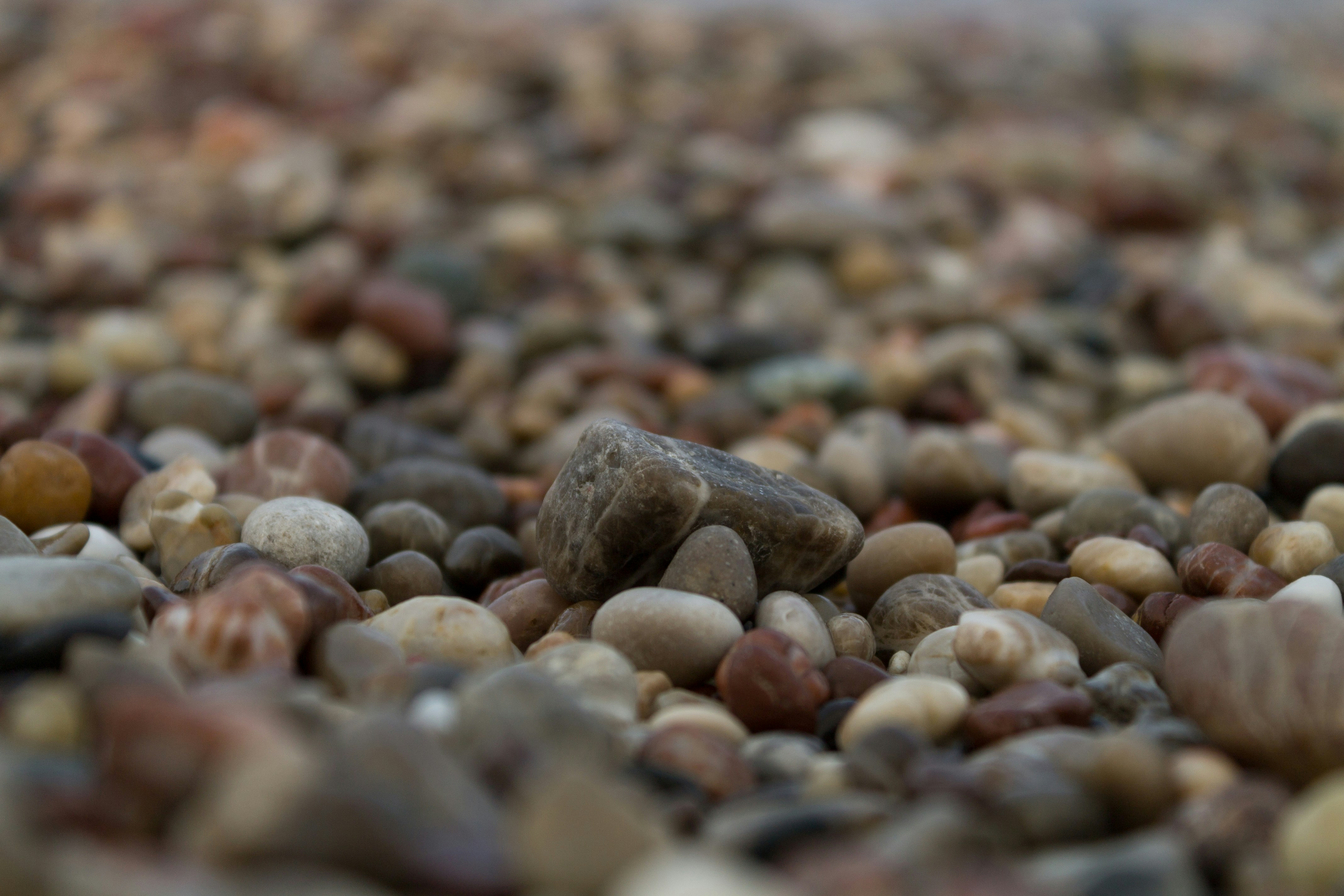 Photo by alexandristom