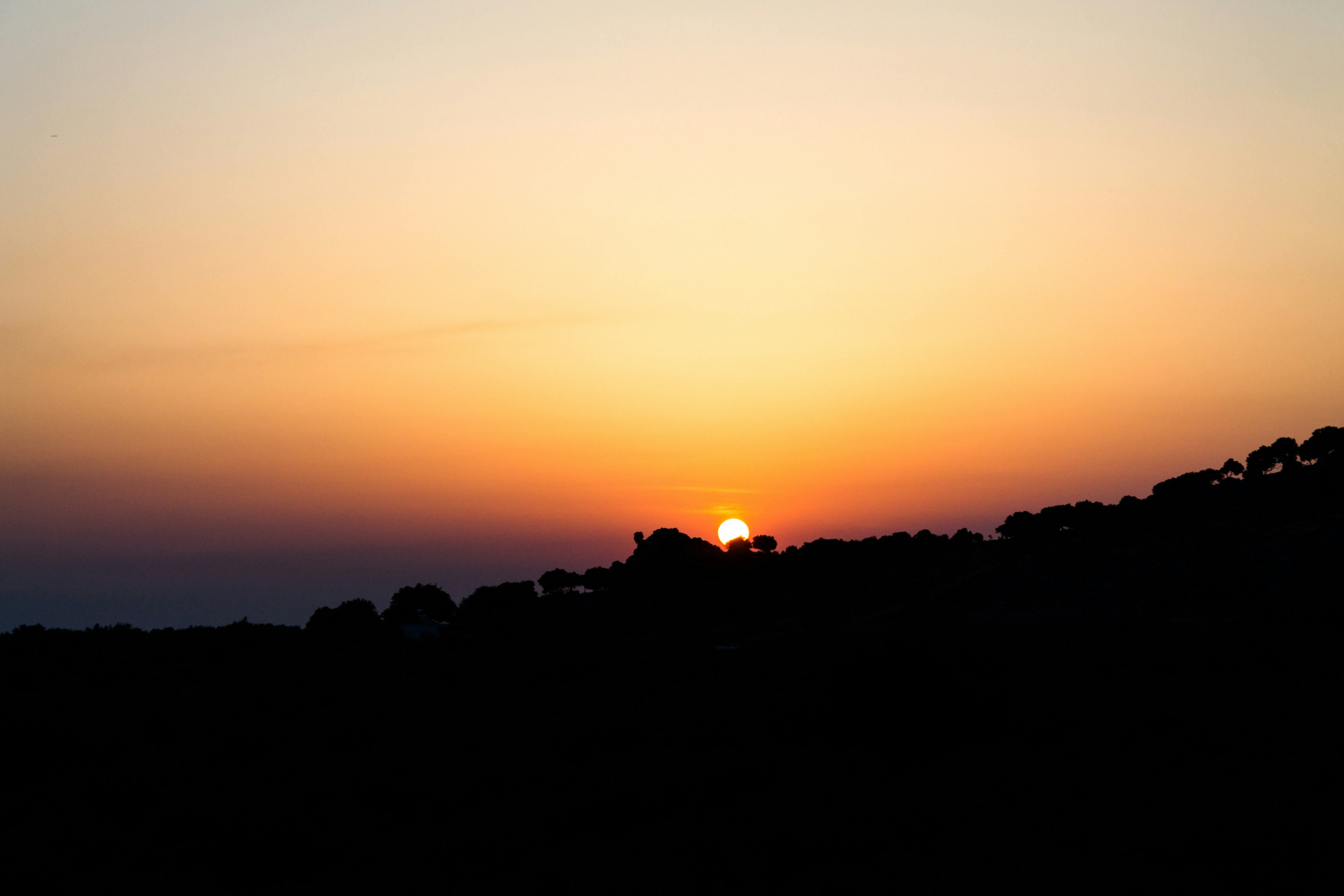 Photo by alexandristom