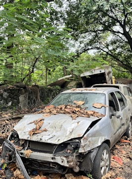 A heavily damaged car with a crumpled front and missing parts is covered in dead leaves, suggesting abandonment. The vehicle is surrounded by dense greenery, indicating it is situated in a forested or overgrown area. The background includes a stone wall and large trees.