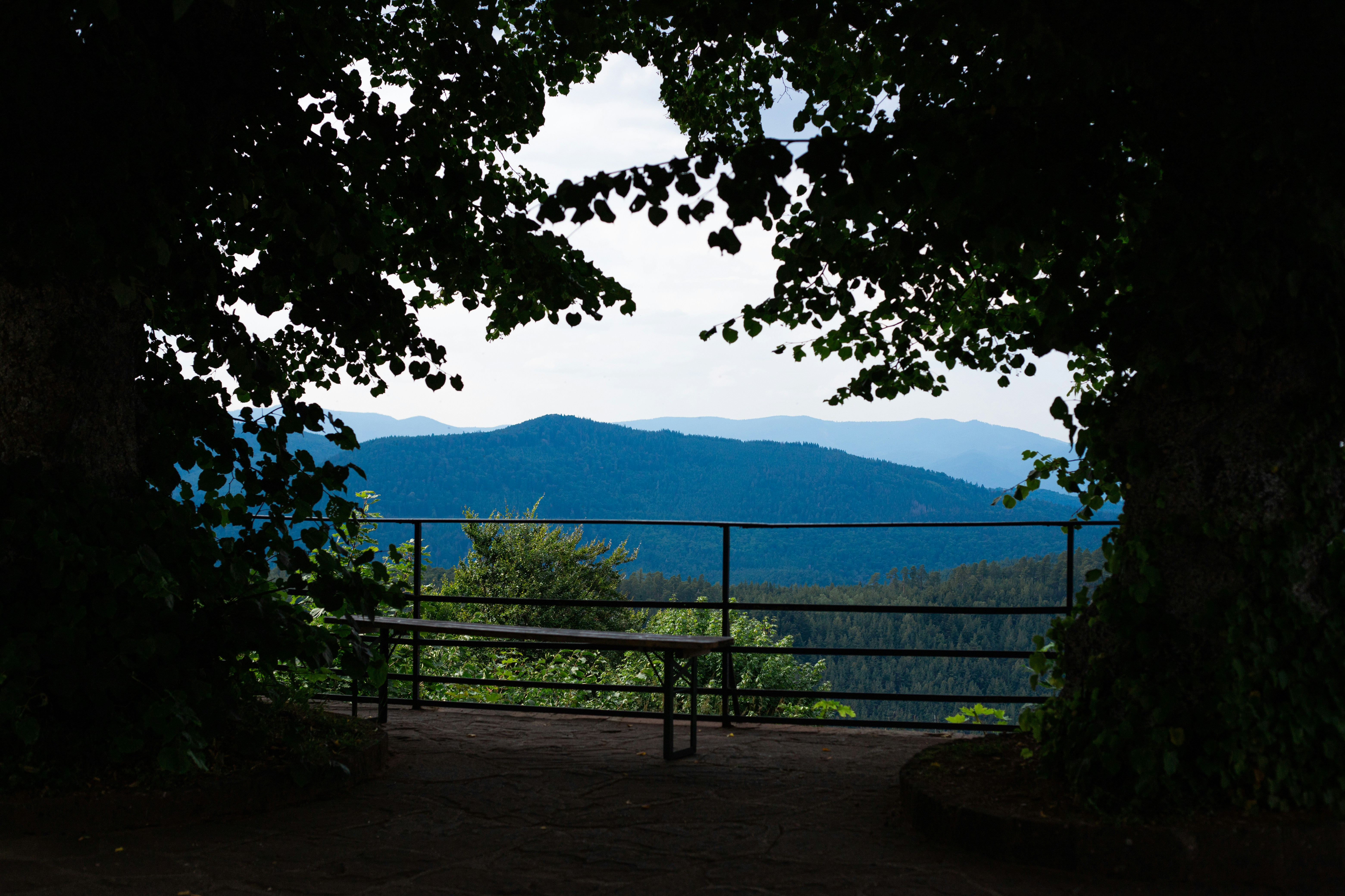 Photo by alexandristom