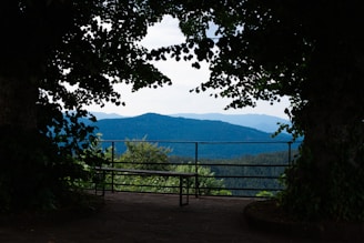 A scenic viewpoint overlooking the green canopy and distant mountains at Pinohuacho.