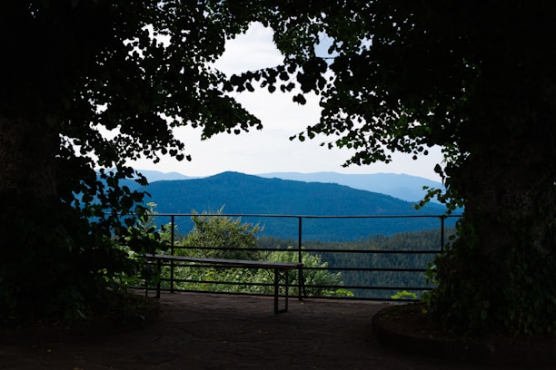 A scenic viewpoint overlooking the green canopy and distant mountains at Pinohuacho.