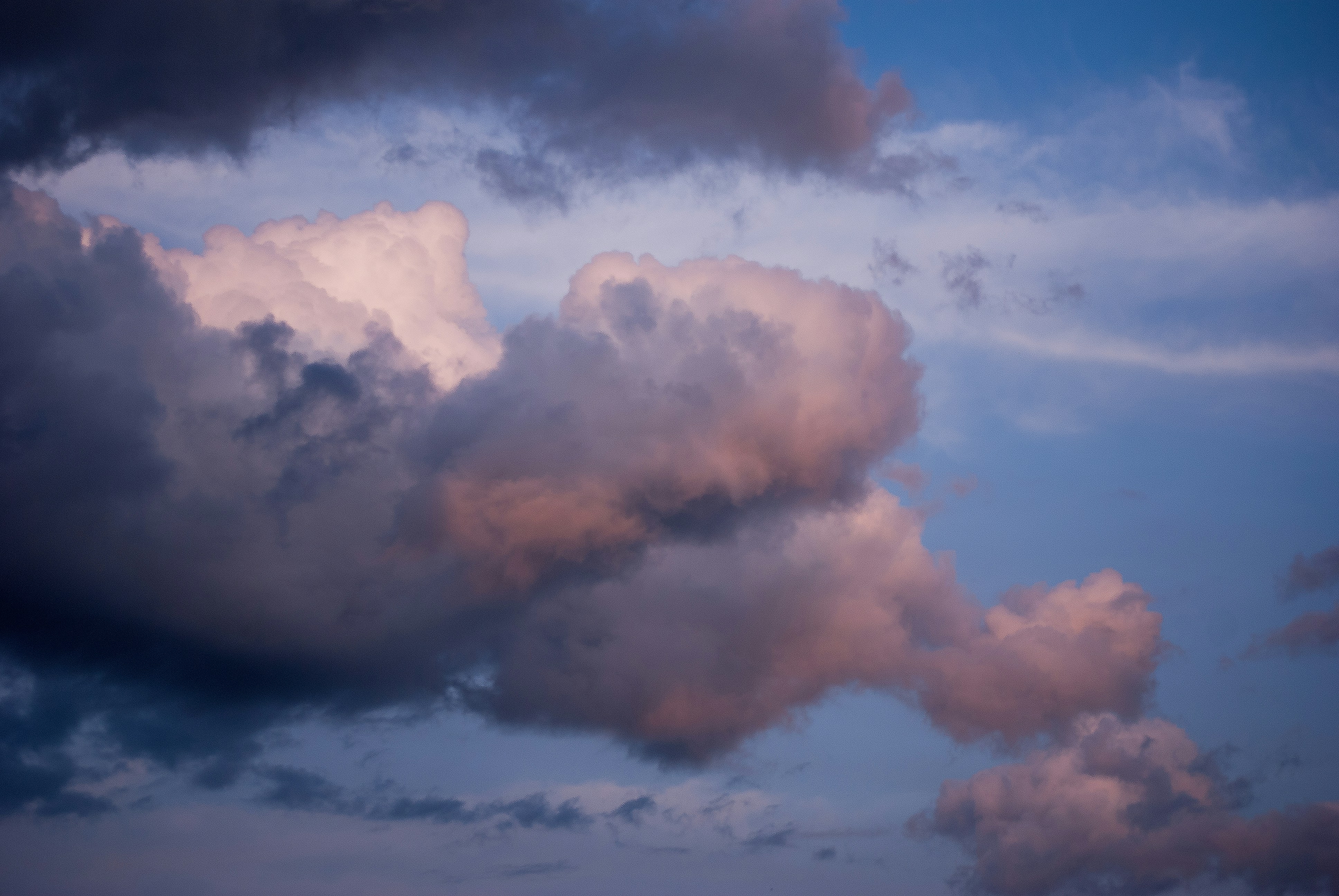 Photo by samyk_ccdphotos