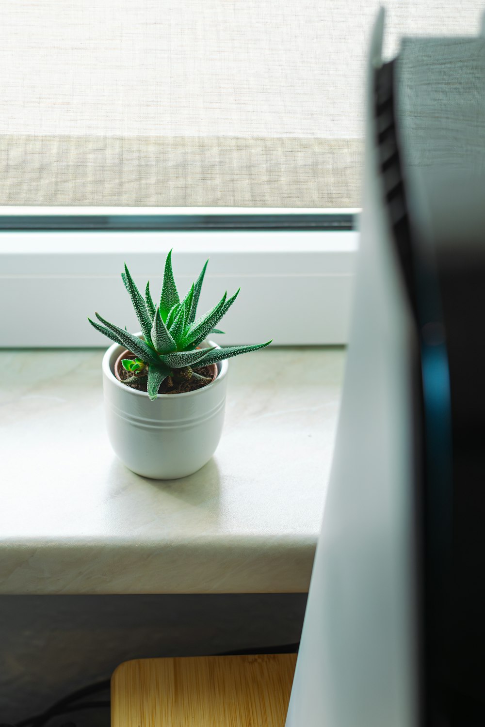 a potted plant sitting on a window sill