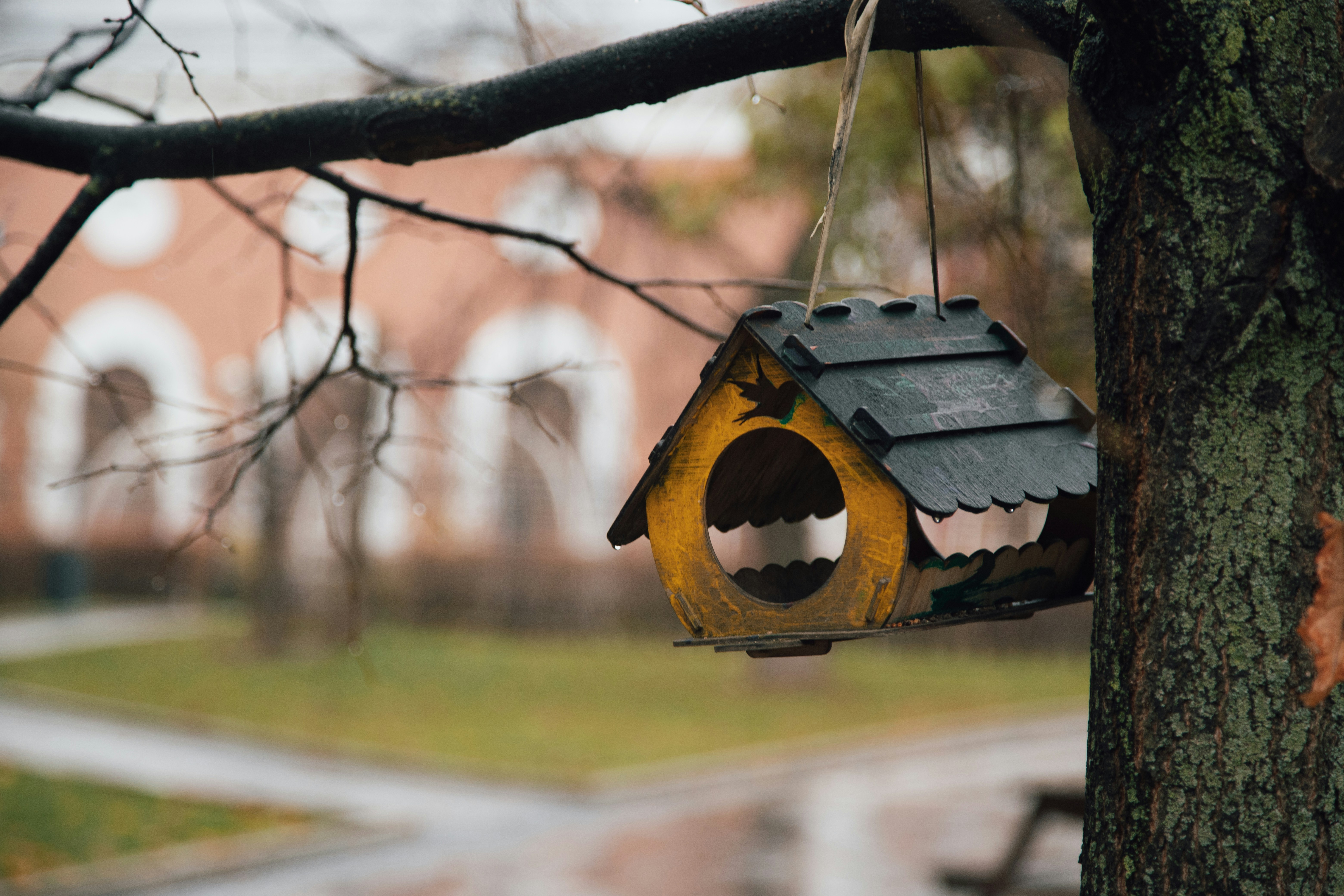 Photo by alexandristom