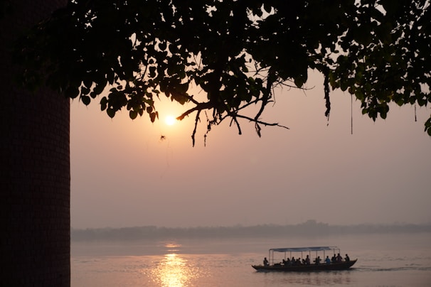 A serene boat gliding through the misty waterways of the Sundarbans at sunrise.