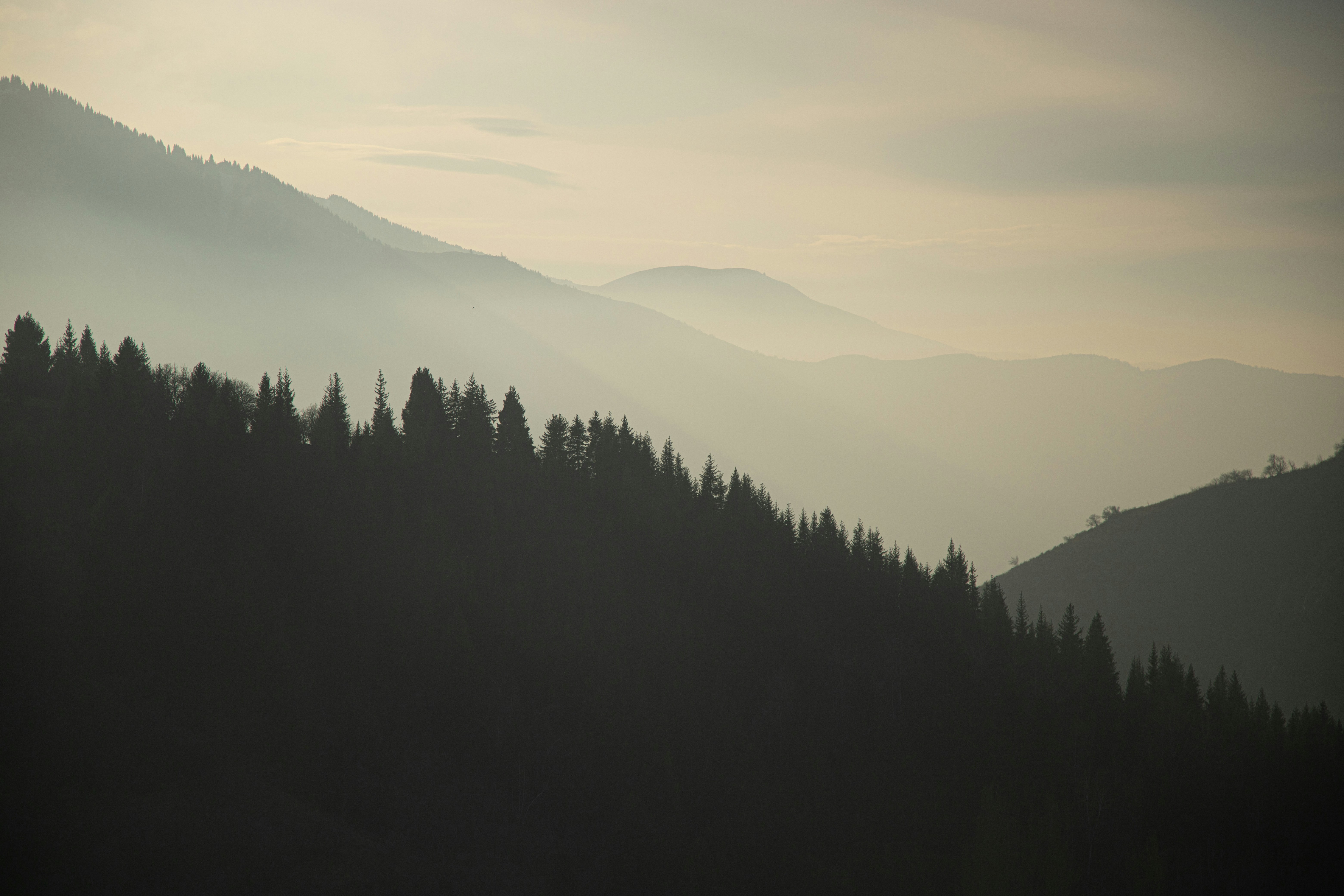 Photo by alexandristom