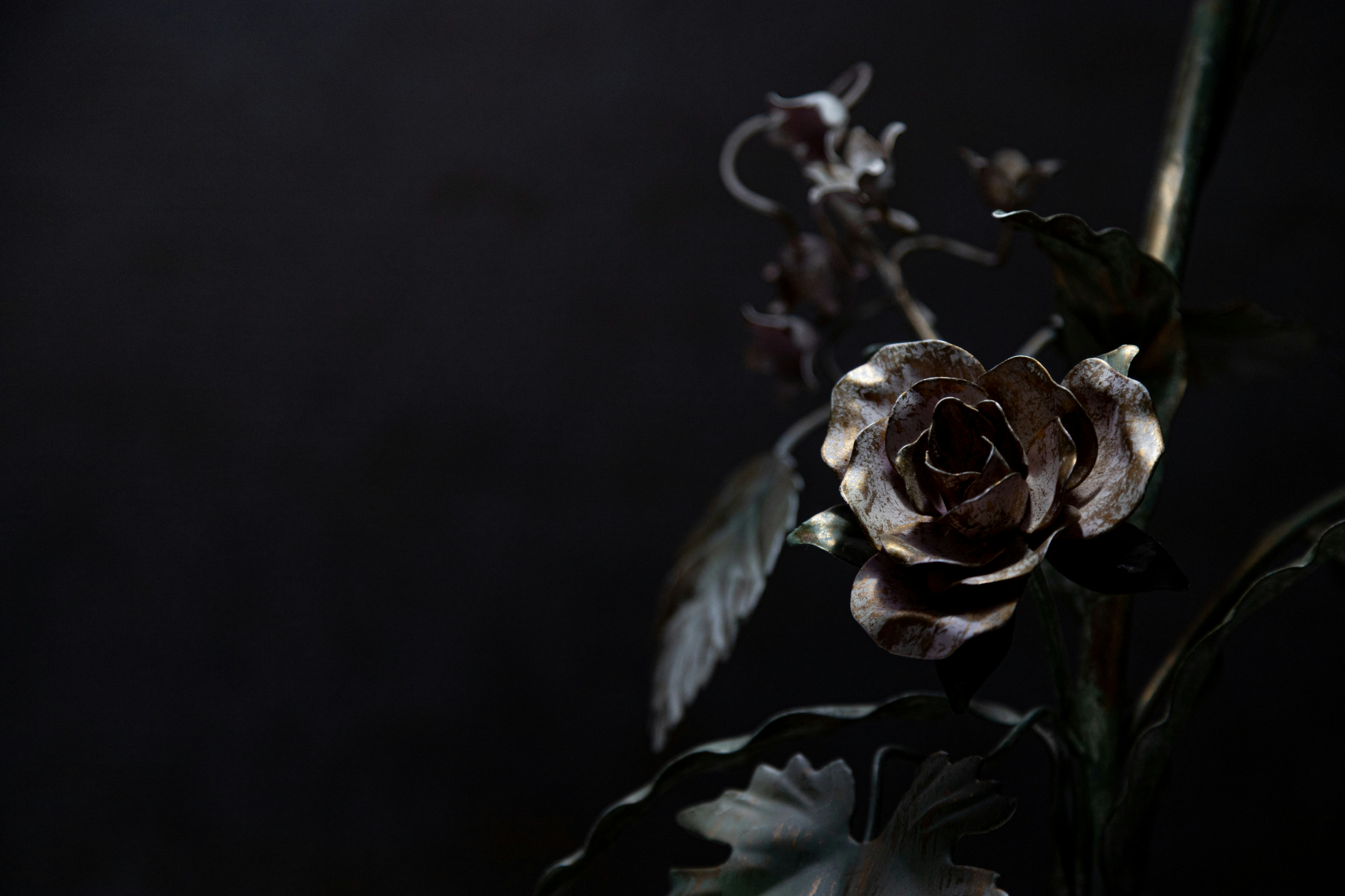 Photo by alexandristom