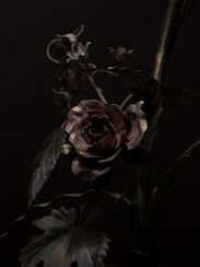 A dark, moody visual featuring roses and animal skulls.