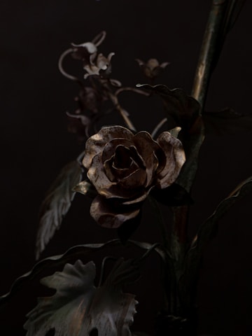 A dark, moody visual featuring roses and animal skulls.