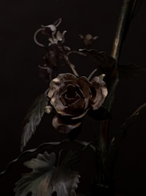 A dark, moody image featuring a metallic rose as the central object, surrounded by leaves and smaller flowers. The petals exhibit a tarnished appearance, and the entire scene is dimly lit, creating deep shadows.