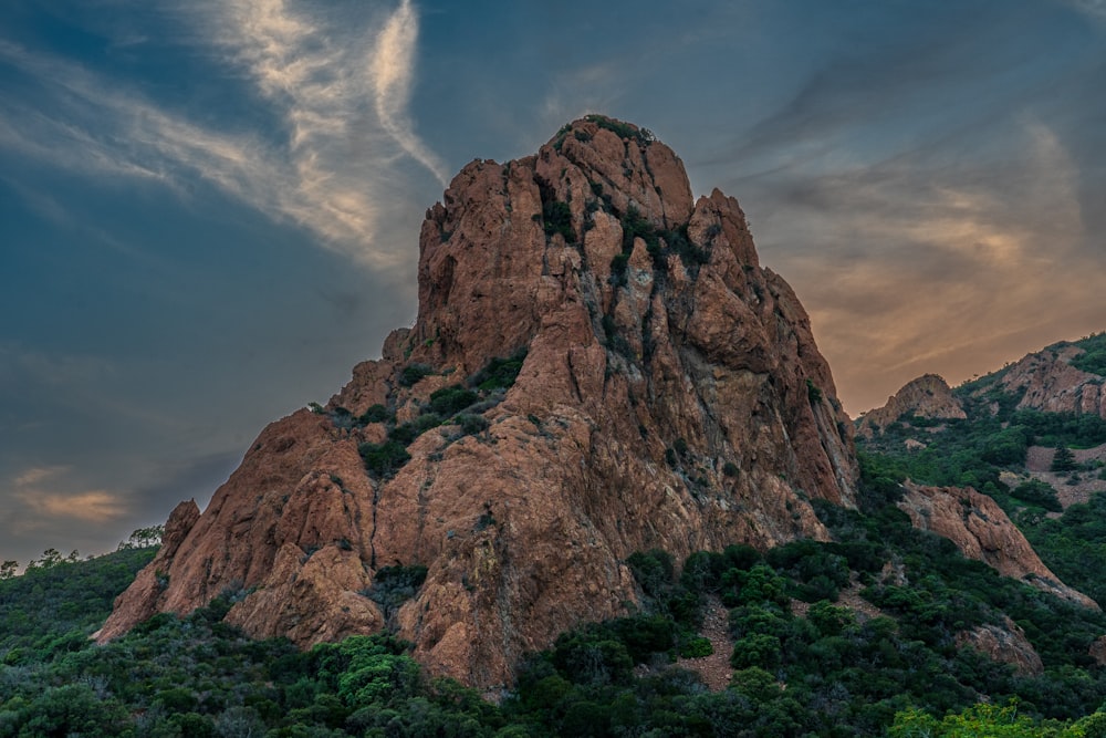 a large rock formation in the middle of a forest