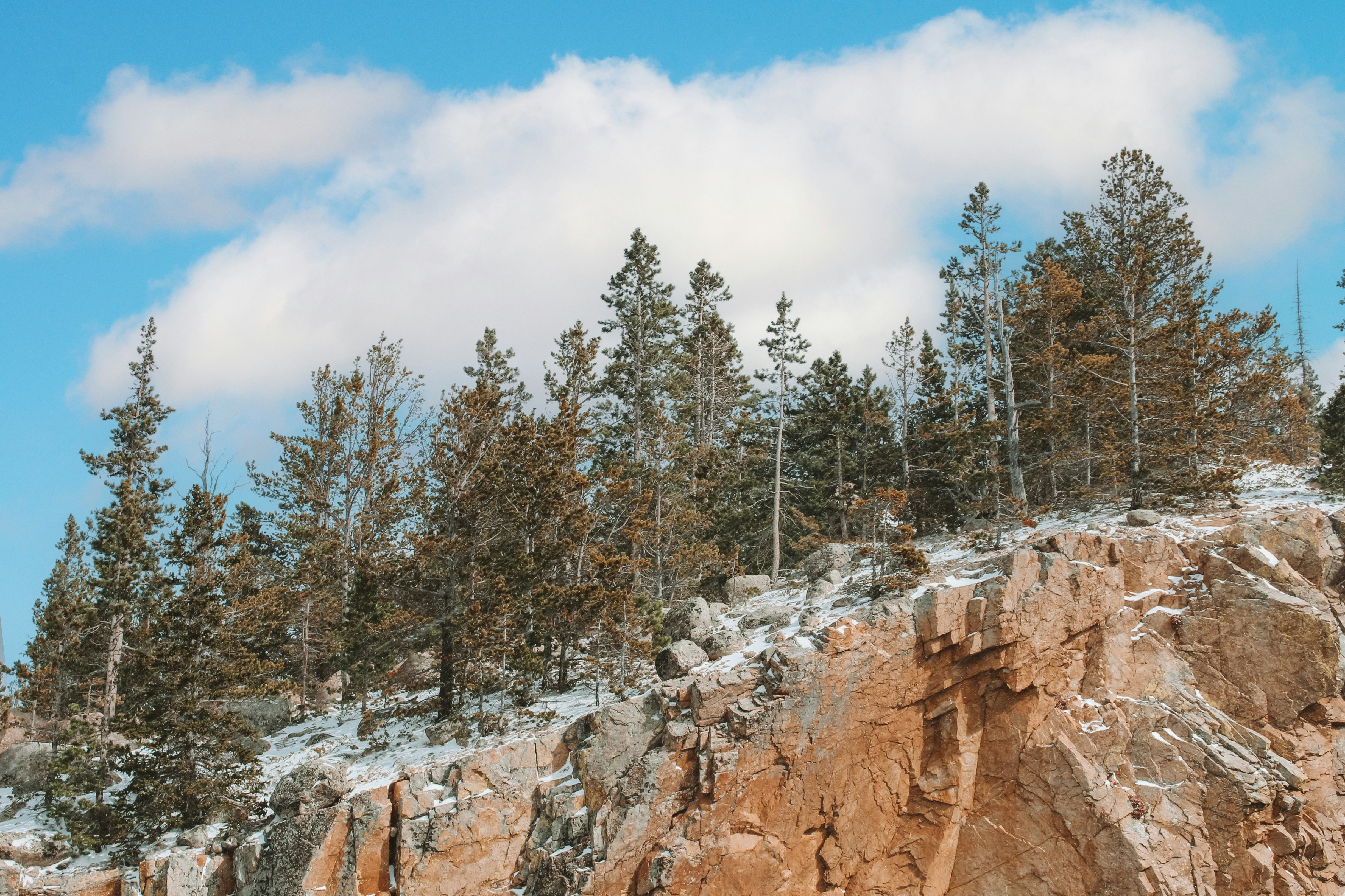 Photo by domsdigitals