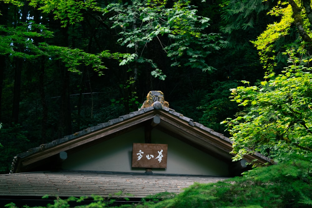 a building in the middle of a forest