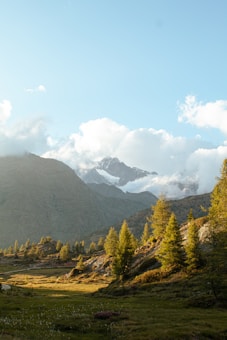 A picturesque alpine landscape filled with lush green meadows, scattered with trees and surrounded by tall mountain peaks partially covered in snow. The sky is clear with a few fluffy clouds, suggesting a serene and peaceful environment.