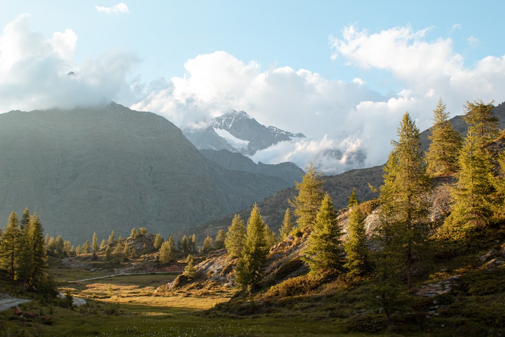 the mountains are covered in clouds and trees