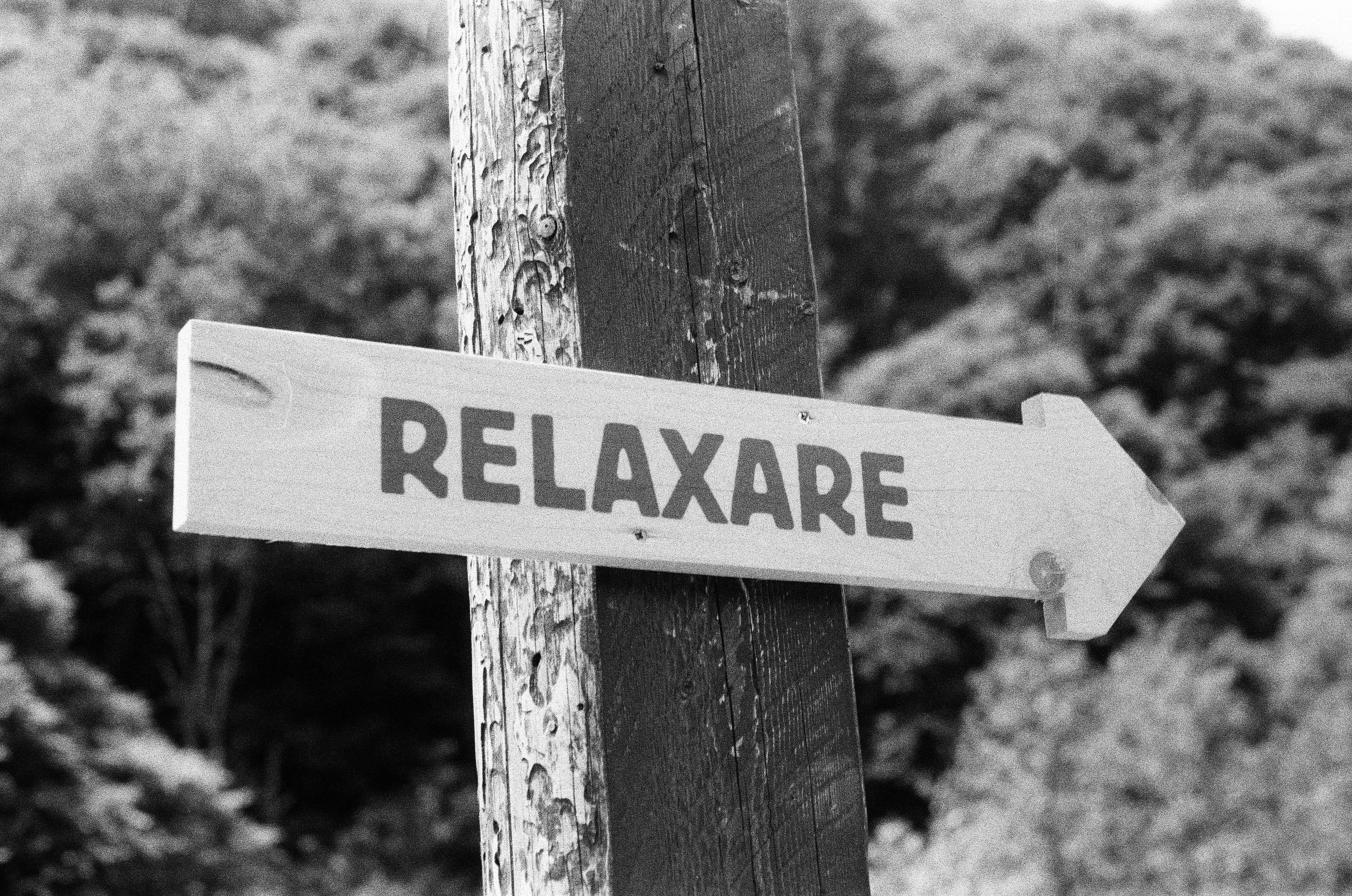 Decoding Lab Reports: ⁤Potency, Purity and Markers of⁣ Soothing Effects