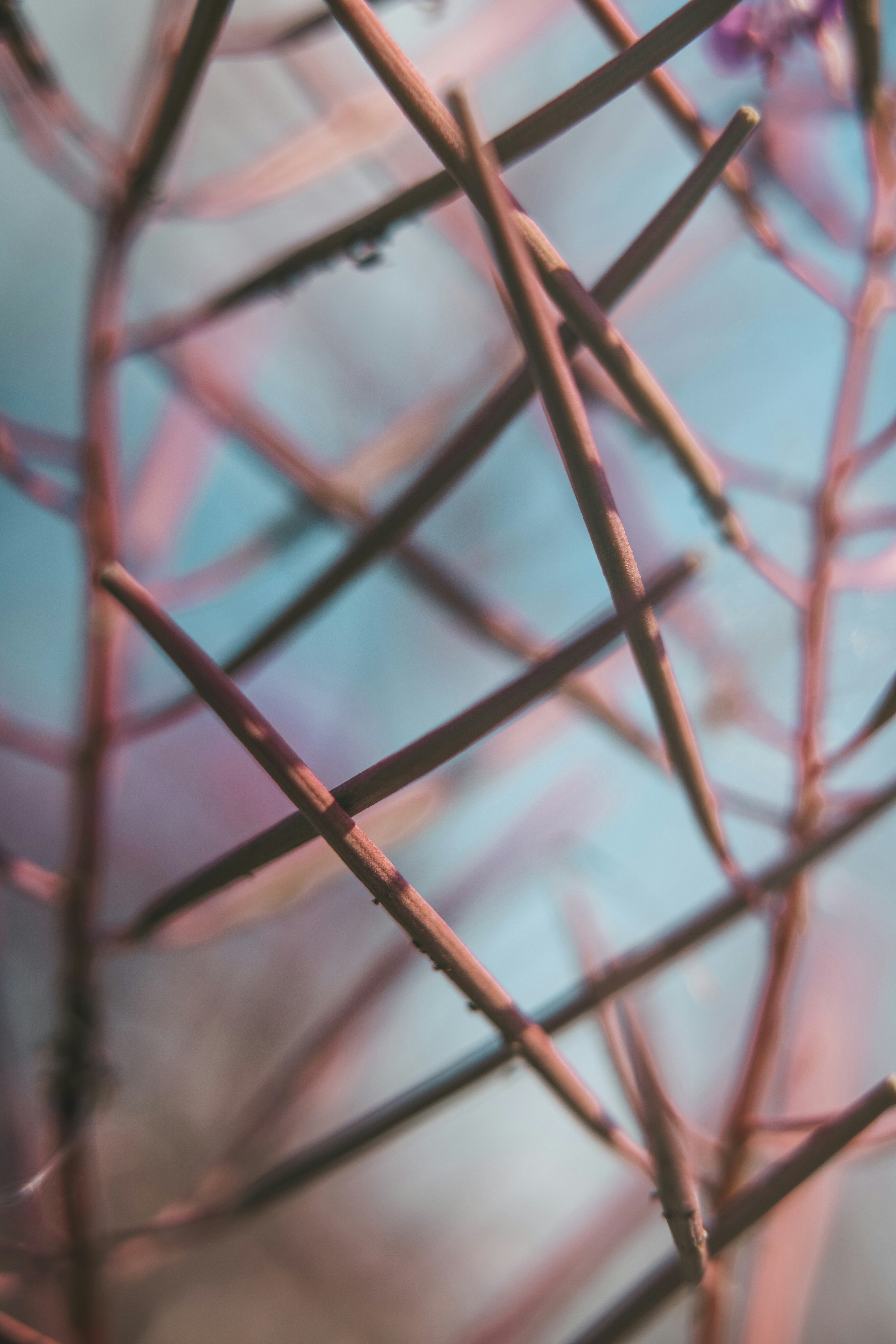 Photo by anamnesis33