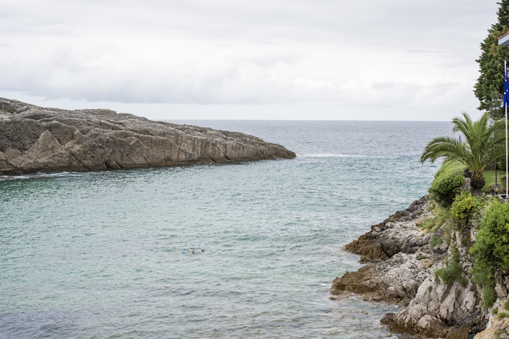 a large body of water next to a rocky shore