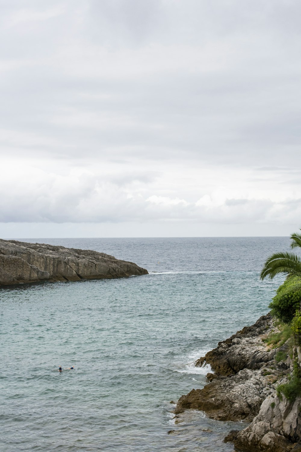 a body of water surrounded by rocks and palm trees