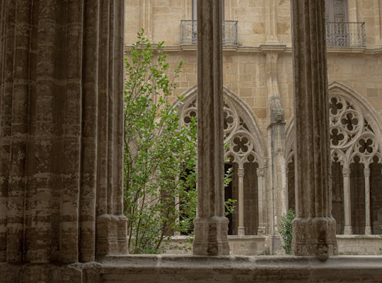The Gothic cloister of the cathedral — Oviedo, Spain