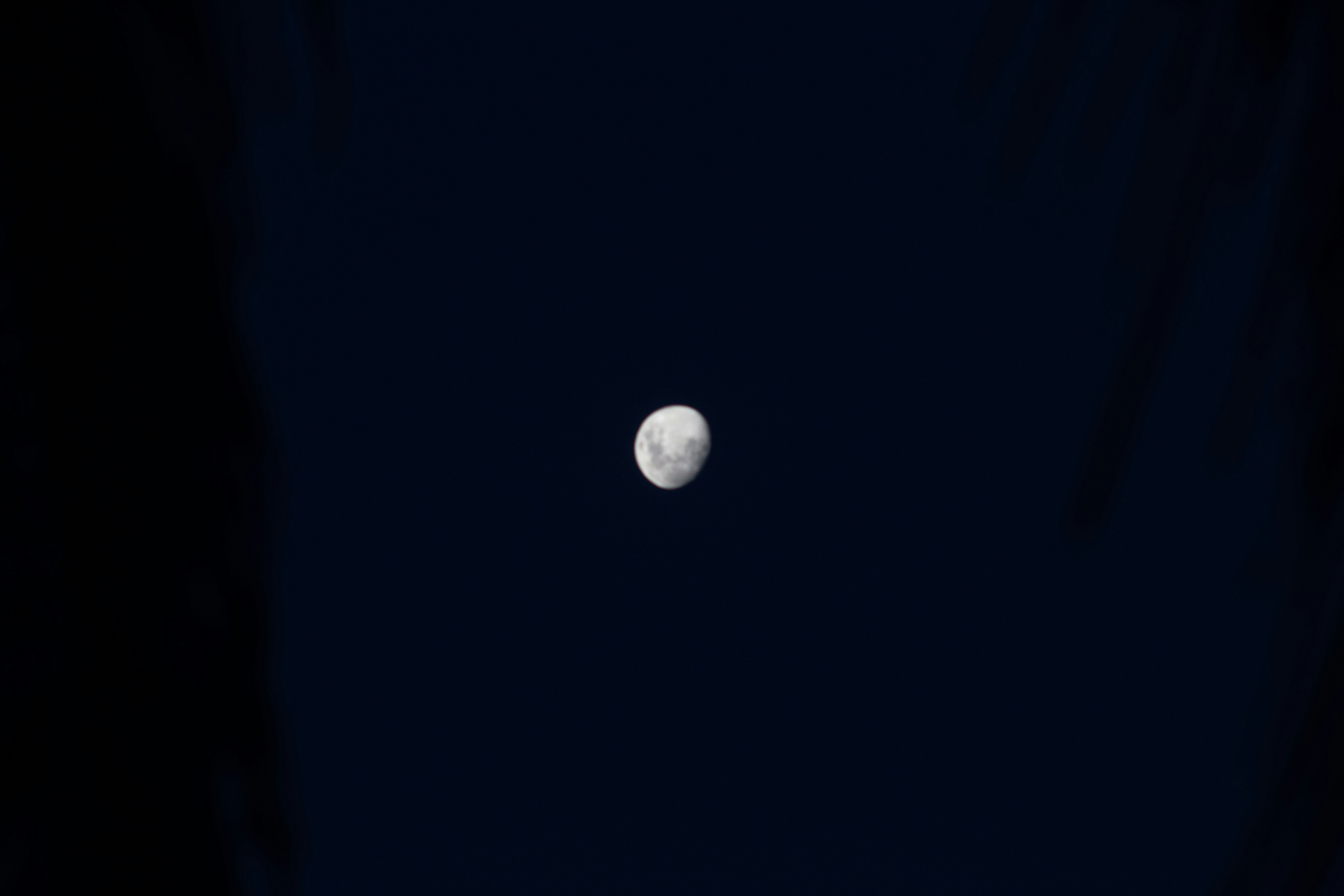 Photo by rodrigodiogo