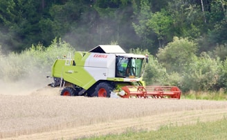 A large green and white combine harvester is actively cutting a field of wheat. Dust billows behind the machinery, and the backdrop is dense with green trees and bushes, indicating a rural, agricultural setting.