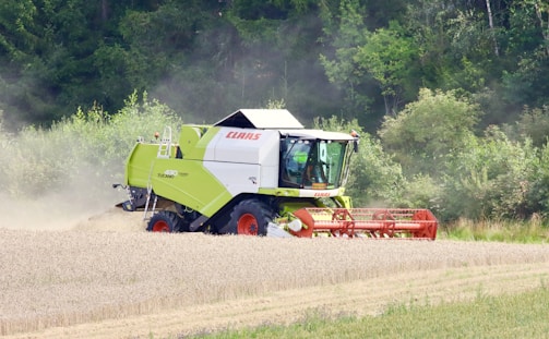 A large green and white combine harvester is actively cutting a field of wheat. Dust billows behind the machinery, and the backdrop is dense with green trees and bushes, indicating a rural, agricultural setting.