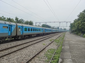 A long train with blue carriages travels on a set of parallel railway tracks. Overhead power lines are visible, suggesting an electrified rail system. The scene is set in an outdoor environment with a line of trees and greenery alongside the track. The sky is overcast, giving the setting a muted tone. A platform on the right appears empty, with a few benches placed along it.