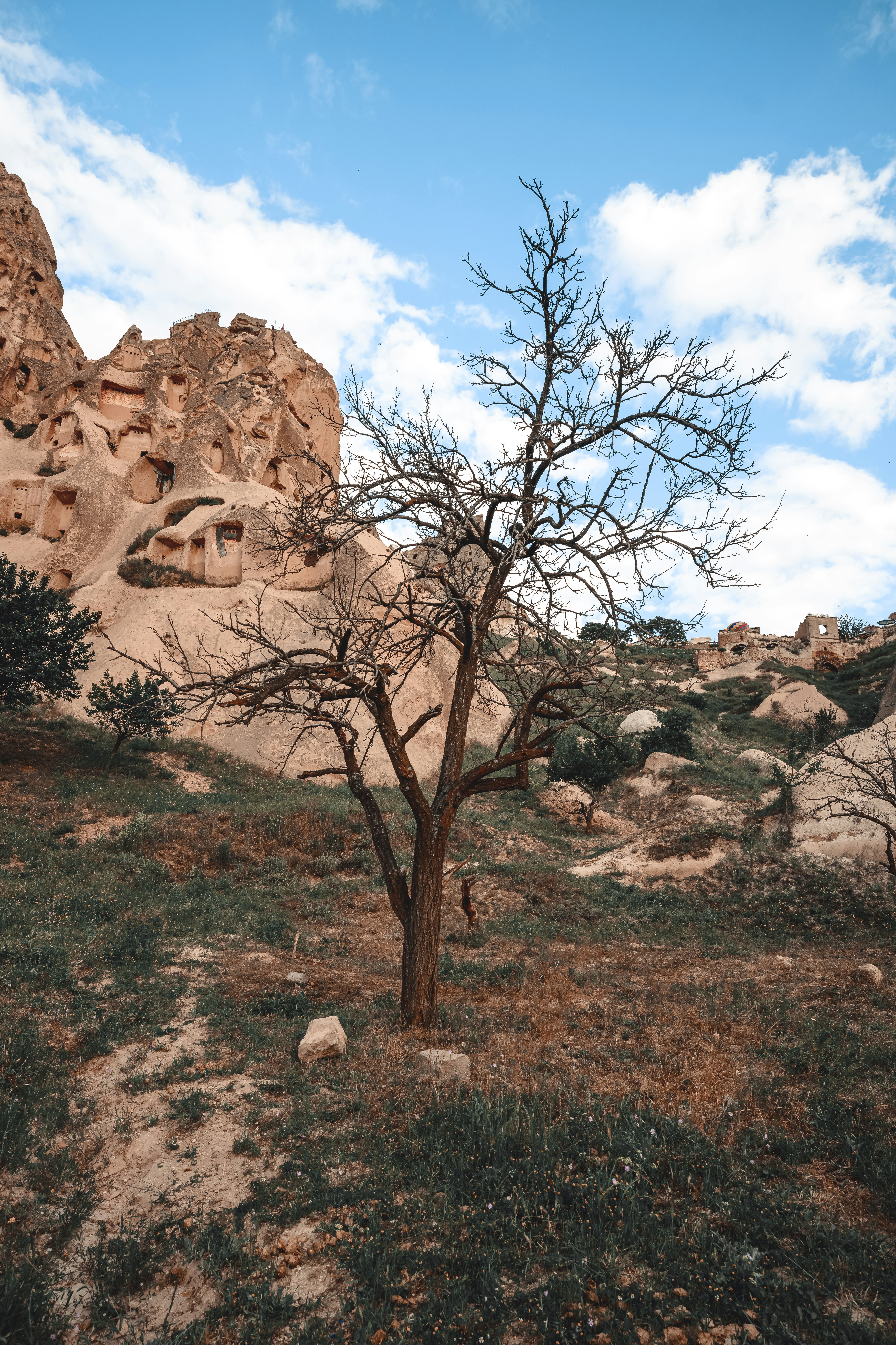 Photo by limamauro23