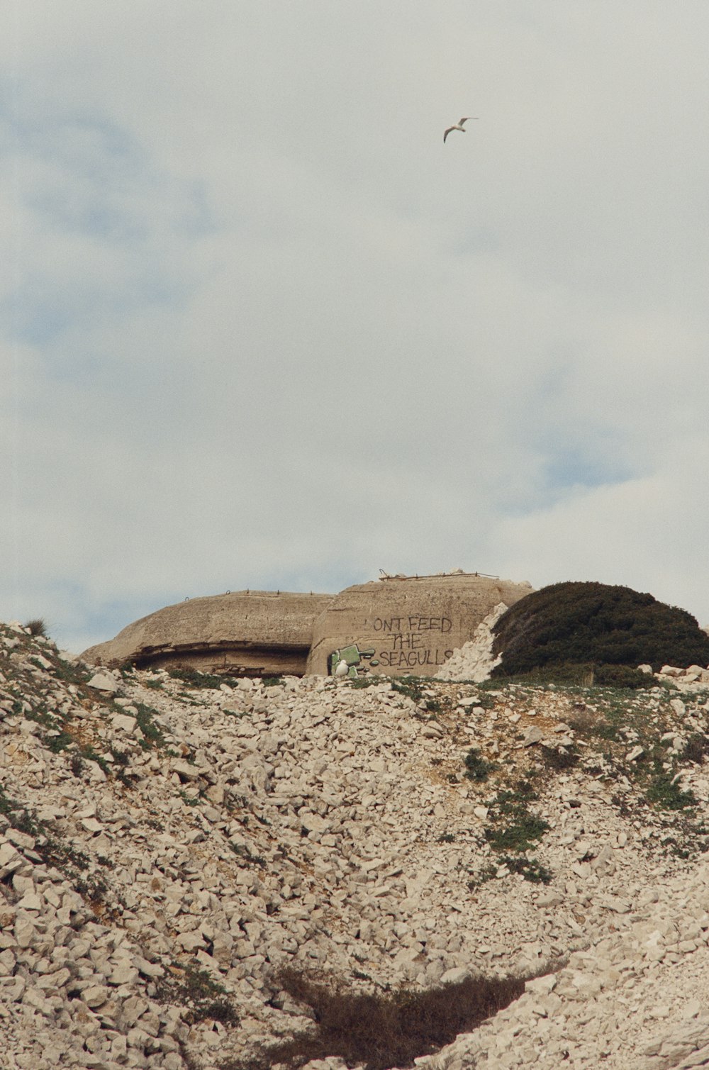 a bird is flying over a rocky hill