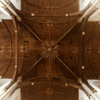 An intricate ceiling design featuring a central ornate wooden structure with gold embellishments. The ceiling is divided into sections by beams that form geometric shapes.