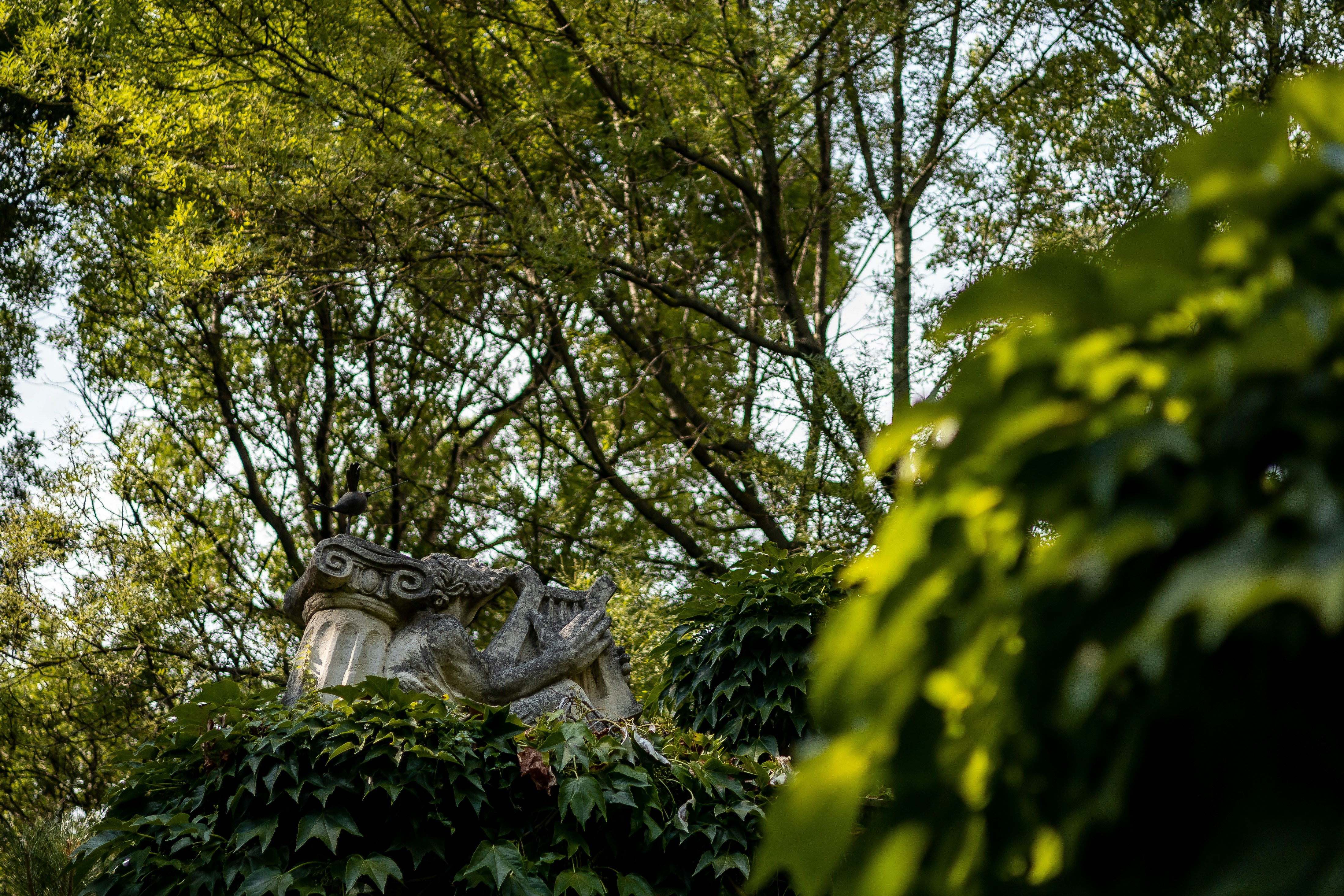 serene gardens in naples fl