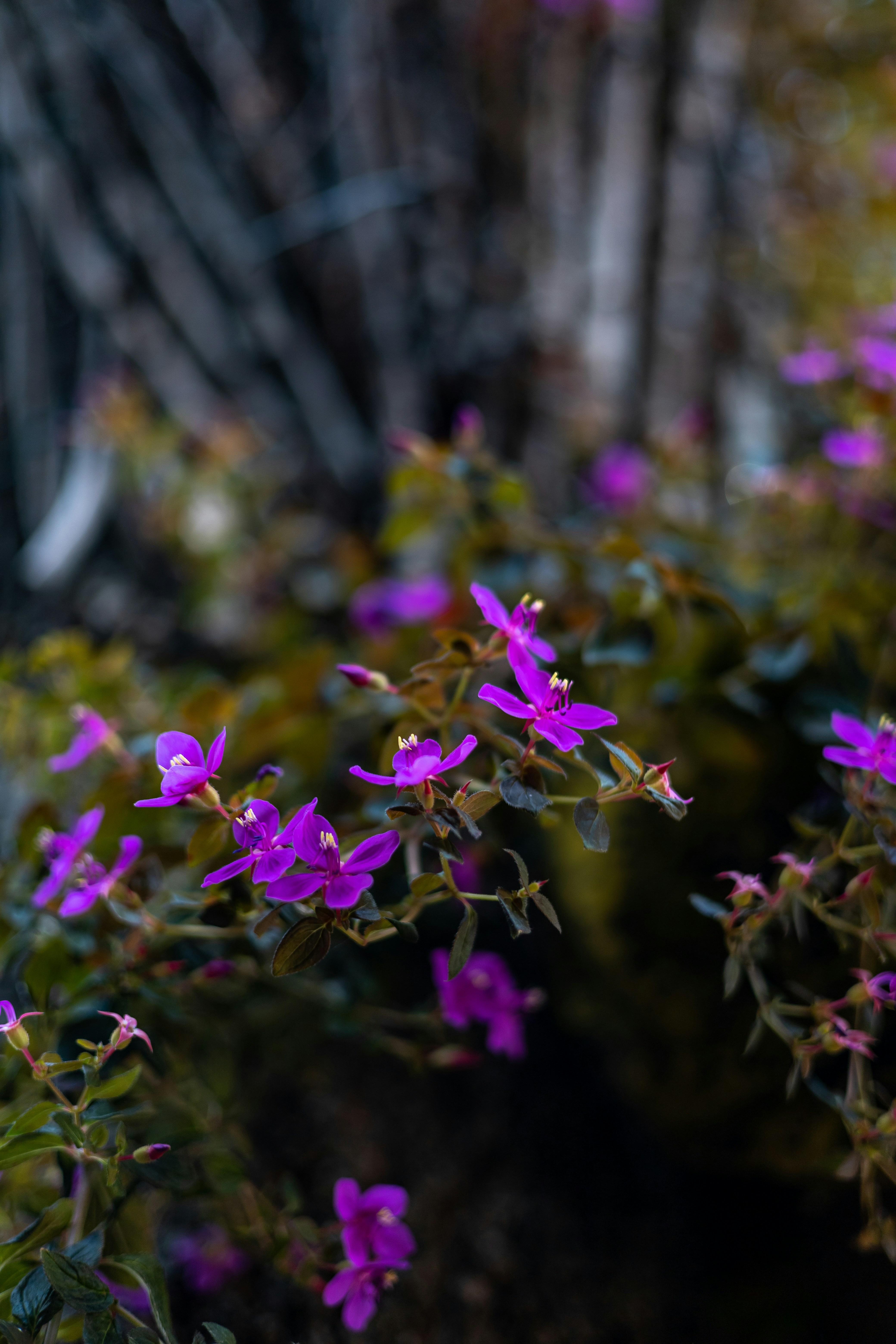 Photo by fez_wee