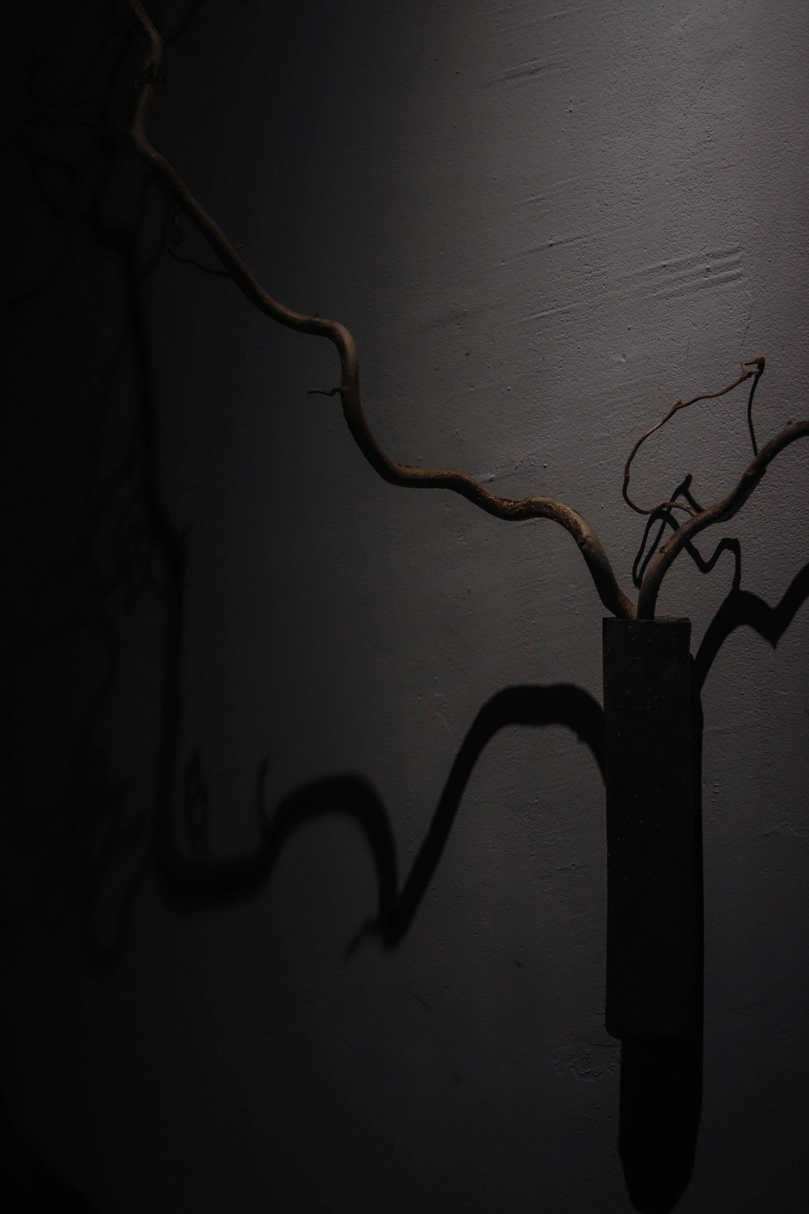 Elegant 3D-Printed Vase