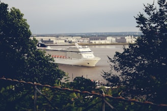 A large white cruise ship is sailing through a river or port, surrounded by industrial buildings and greenery. The ship is prominent in the center, with trees framing the view on both sides.